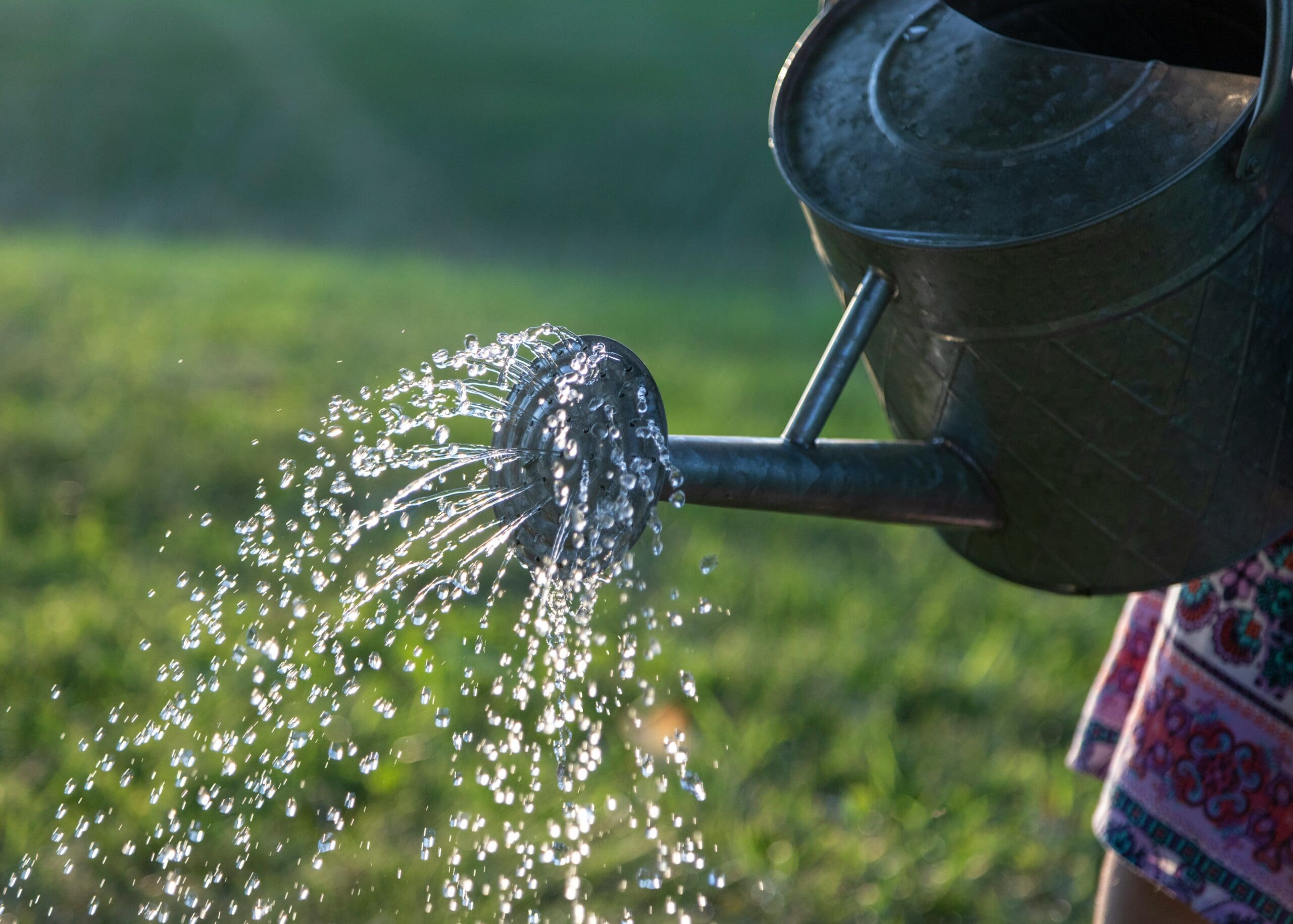 watering jug with water coming out