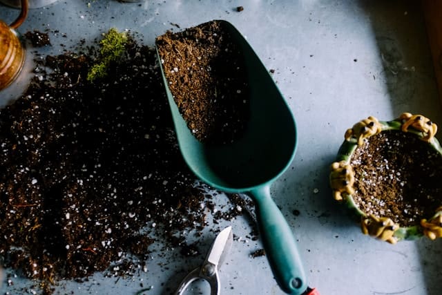 compost and soil on a table with a scoop