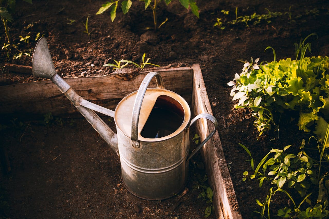 Pic courtesy of Lysen Kow via Pexels Picture of a raised garden bed with a watering can in it