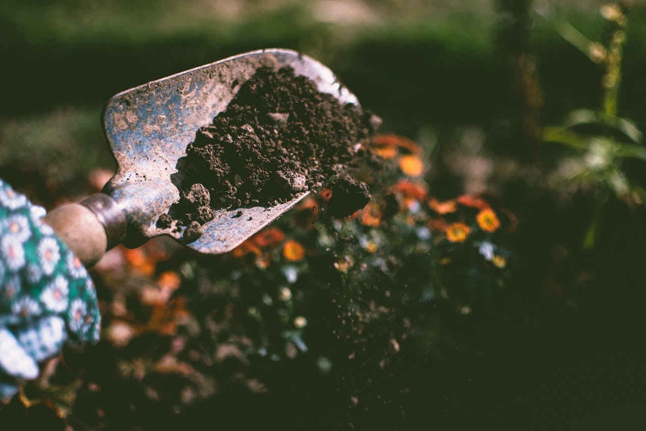 Soil vs Coco Coir: What Is The Better Option?