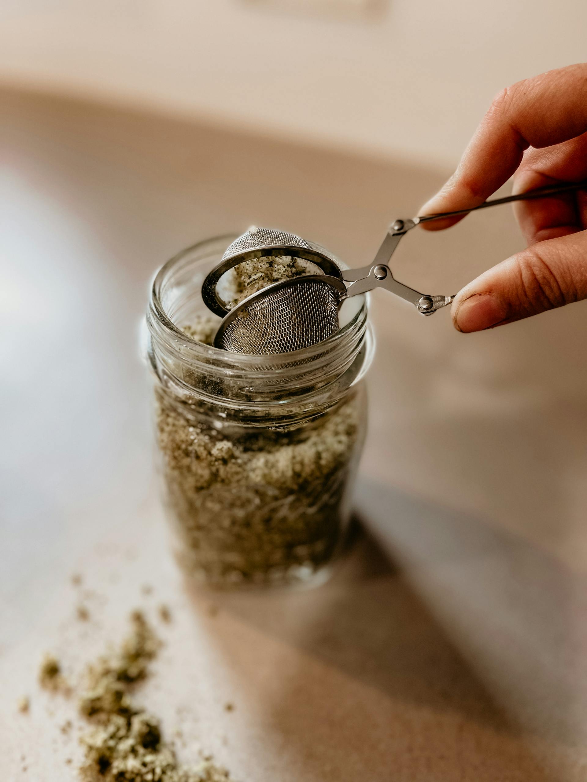 6 Easy Steps to Growing Herbs from Seeds in Mason Jars