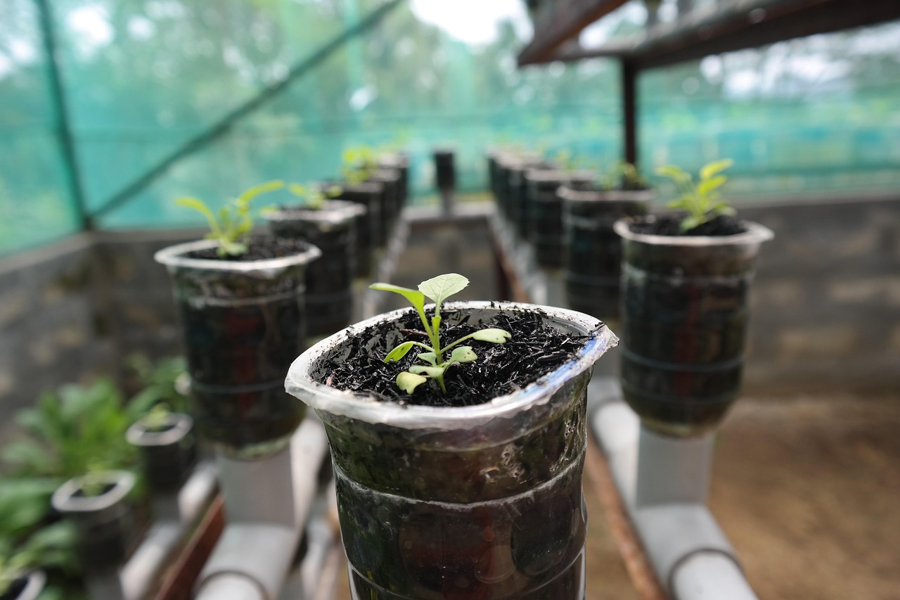 How To Easily Build a DIY Hydroponic Tower