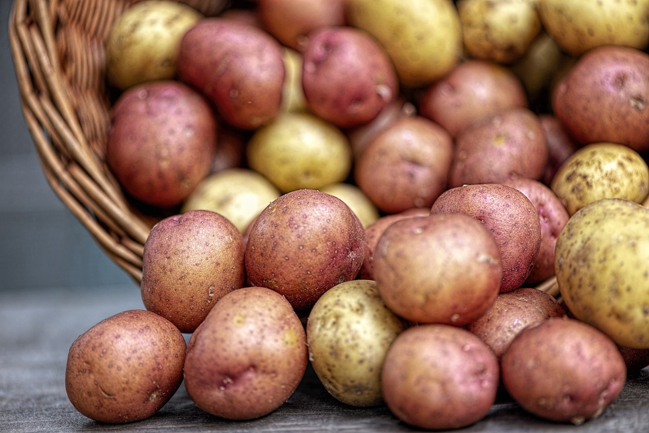 Here Are 5 Things You Need To Know When It Comes to Planting Potatoes in Raised Beds