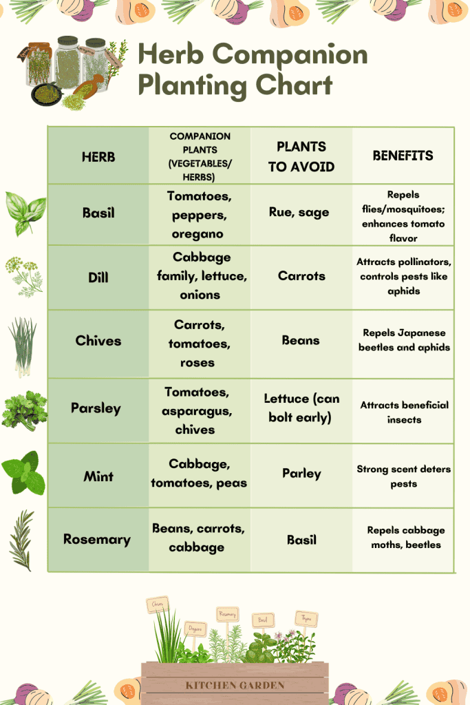 herb companion planting chart