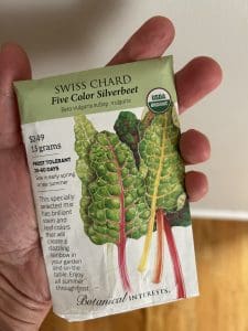 Swiss chard seeds that I use