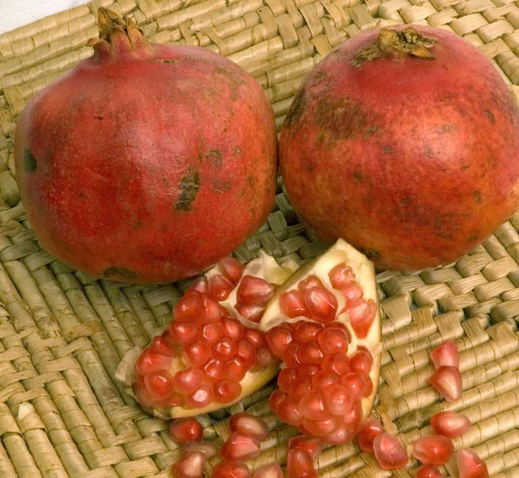 Pink Satin Pomegranate
