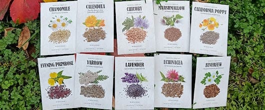 various herb seed packets