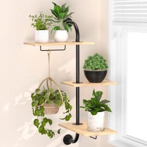 wall shelf plant hanger